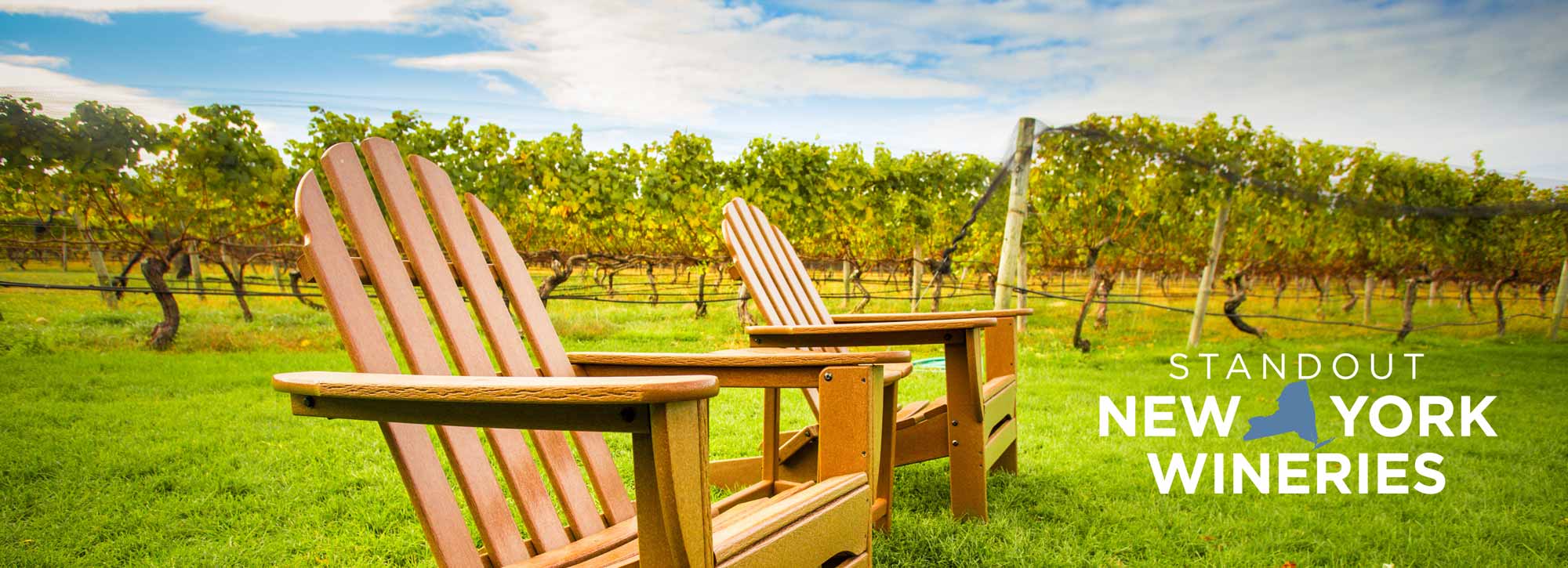Standout NY Wineries